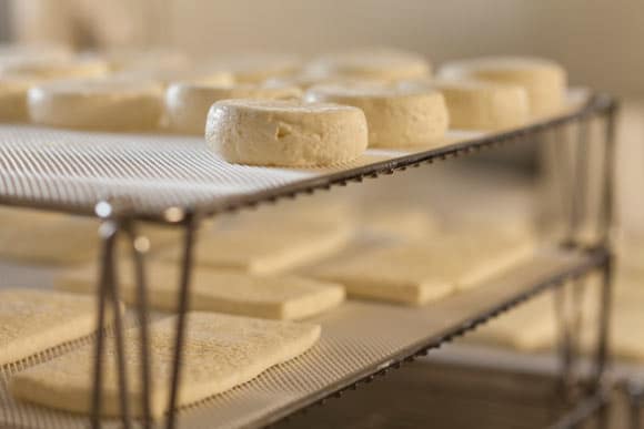 Auvergne cheese