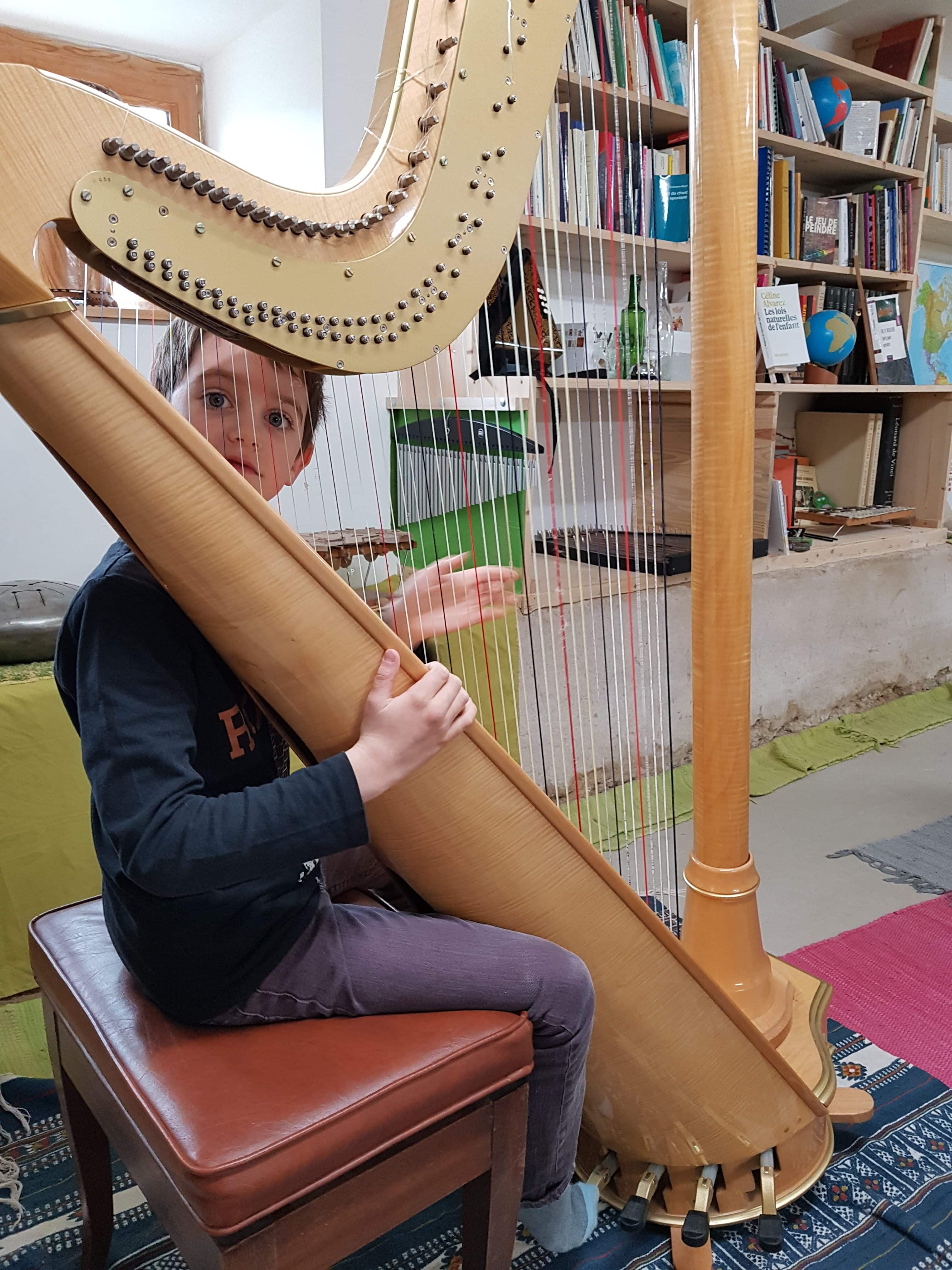 Cours d'Harpes Atelier du Sardier 