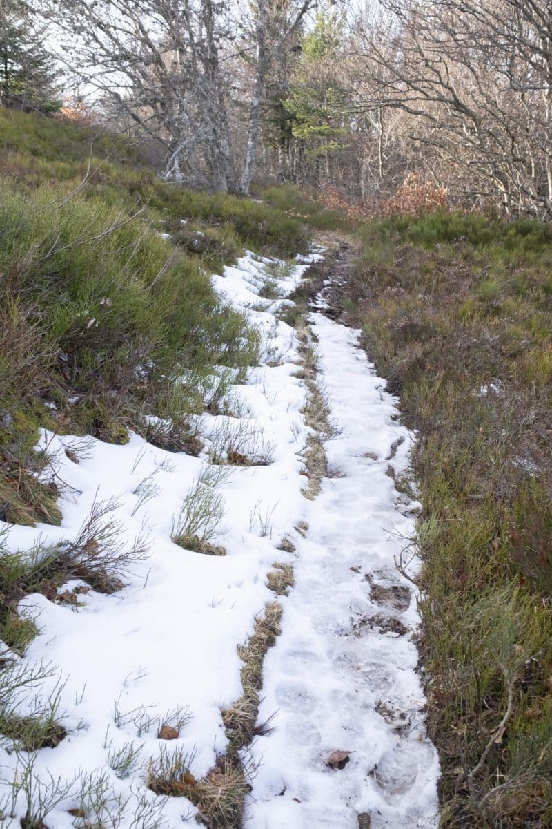 Sentier nature jasseries saupoudré de neige
