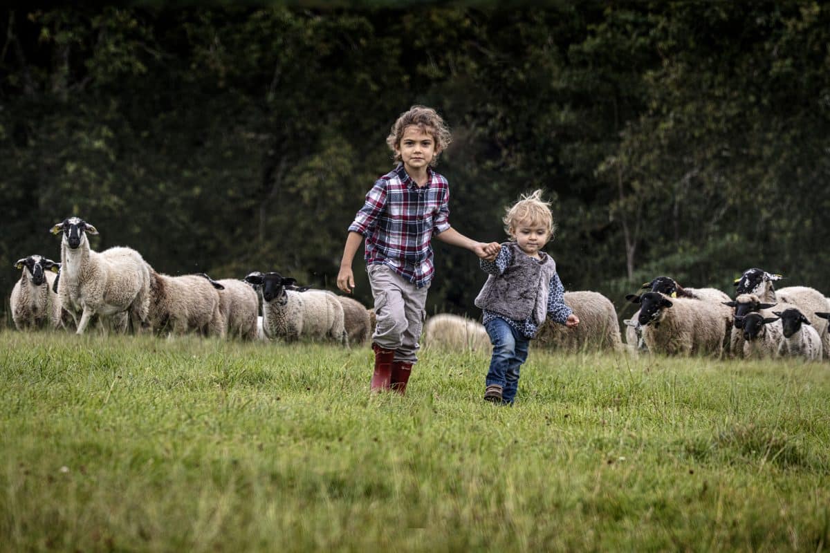 Children in a sheep field