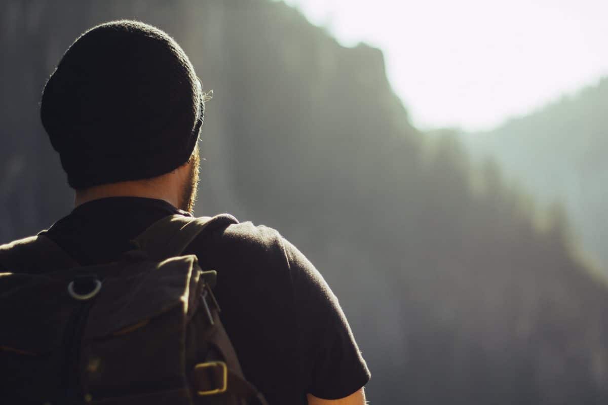 A hiker seen from behind. Forest landscape.