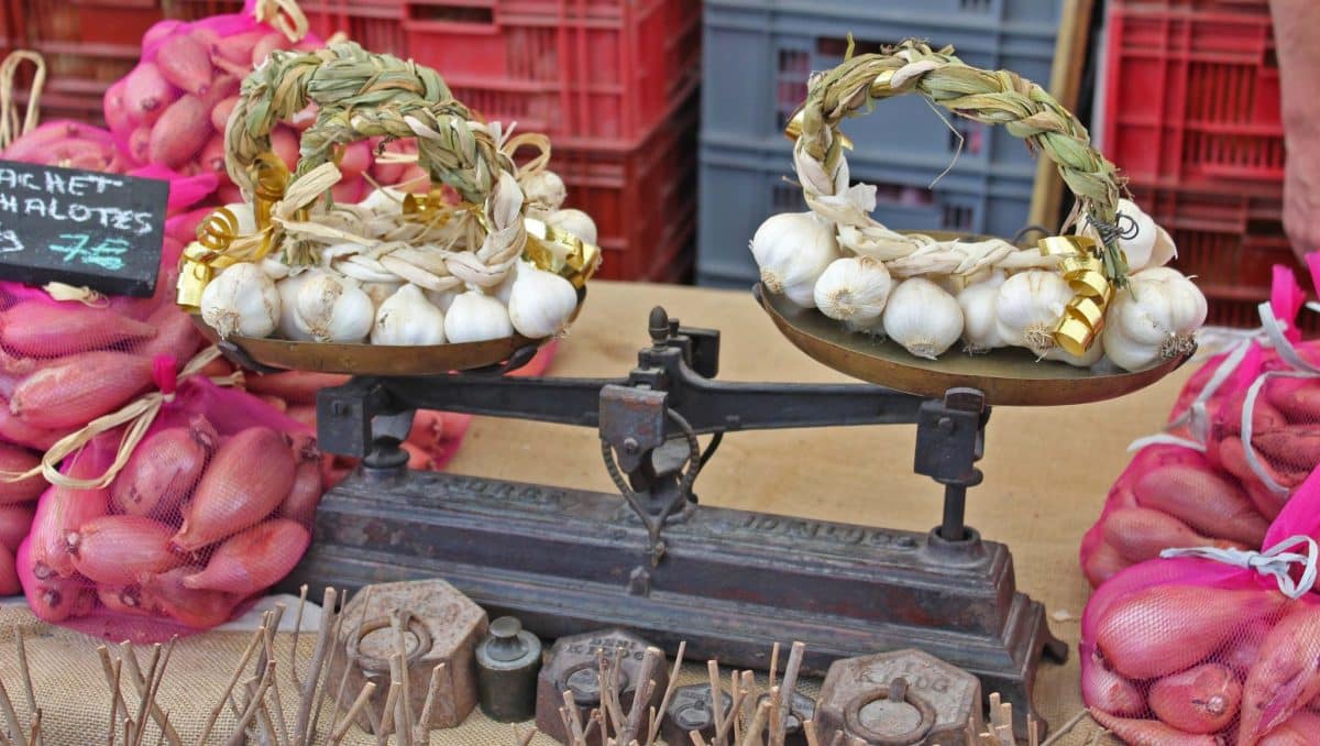 billom balance garlic fair